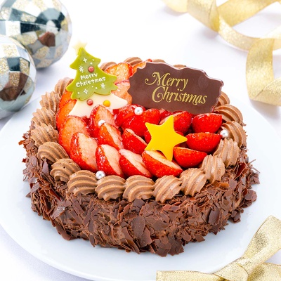 【10月ご予約価格】チョコレートのクリスマスケーキ